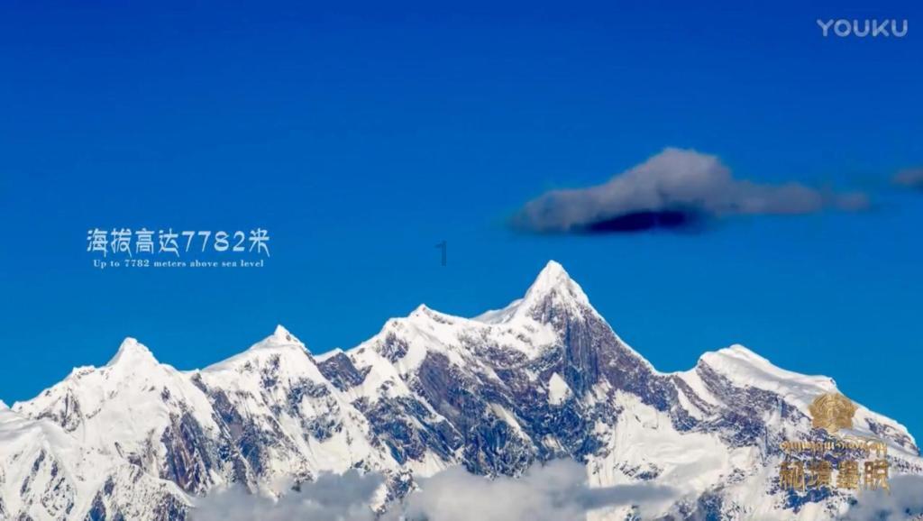 七猫免费小说无广告版游戏画面
