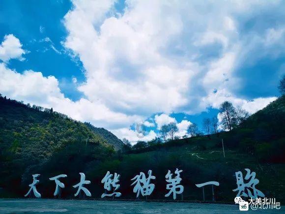 编号K111,这是开往家乡的列车