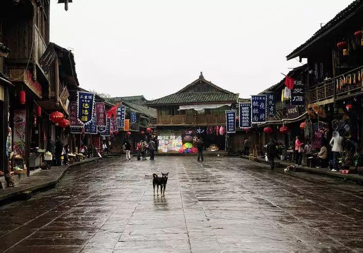 我至今不能原谅白素贞,两条四川的蛇水淹江苏,笑死在网友评论区